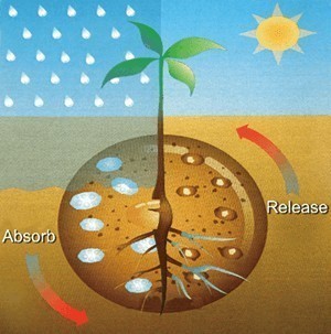 Waterships Organization