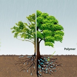 Waterships Organization