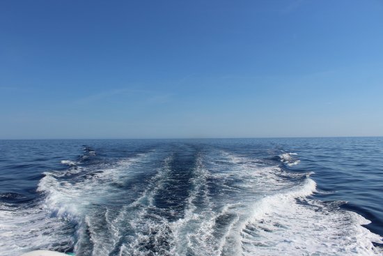 Waterships Organization