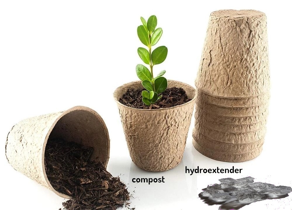 Waterships Organization