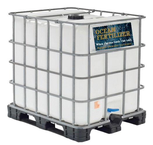 Waterships Organization