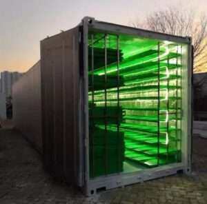 Waterships Organization