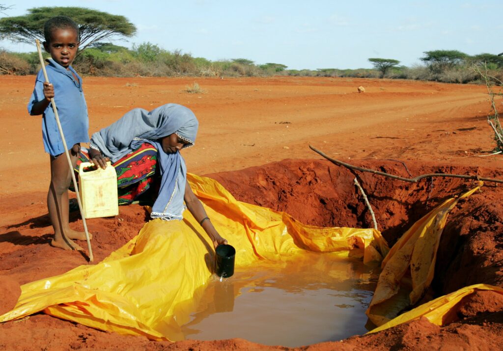 Waterships Organization