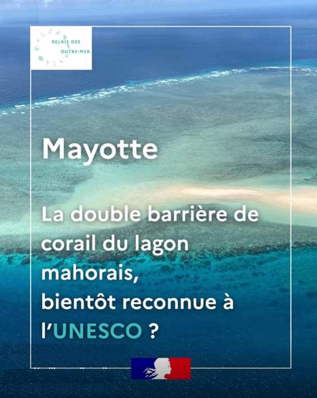 Waterships Organization