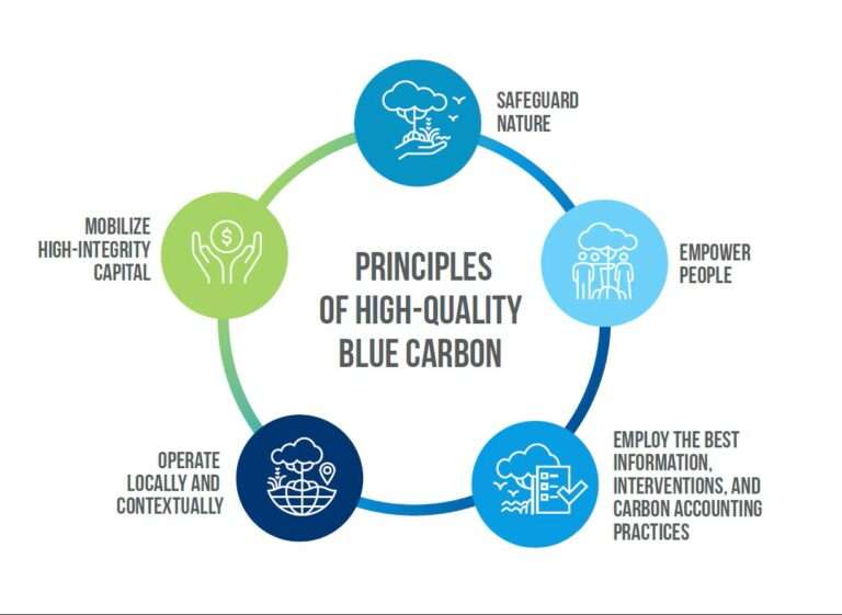 Waterships Organization