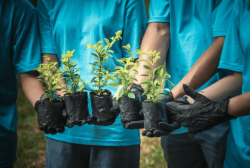 Waterships Organization